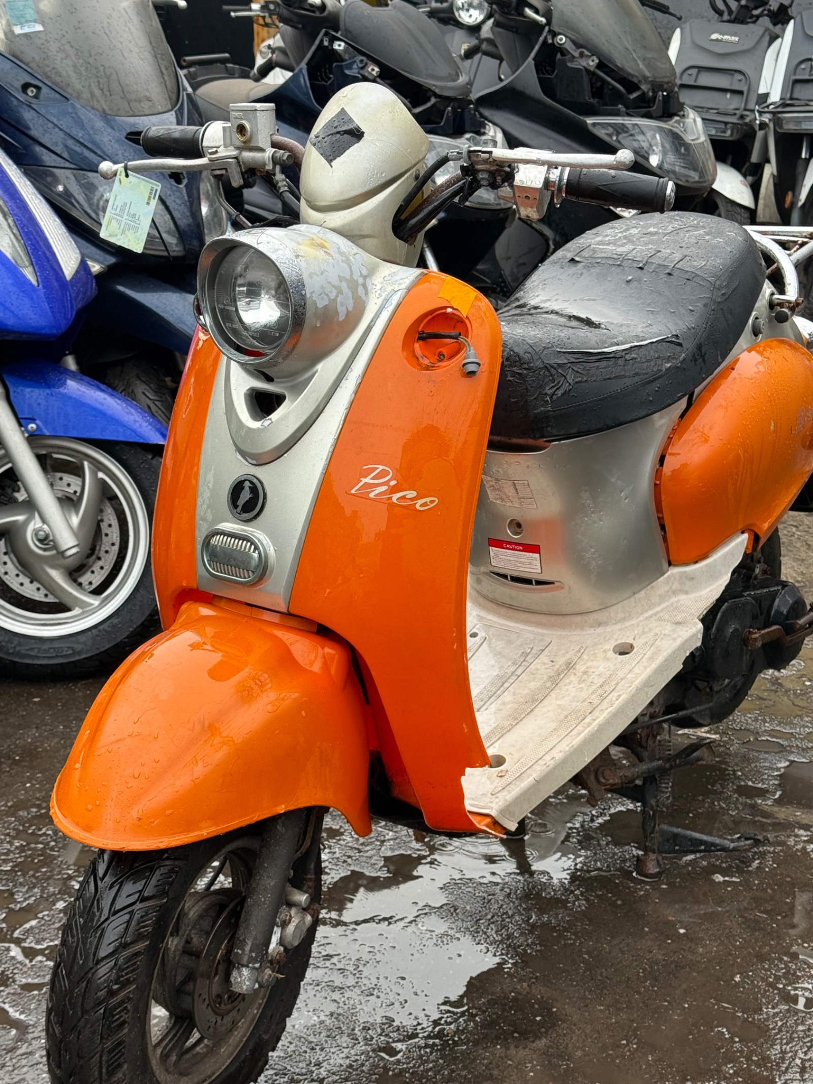Giantco Giantco venus